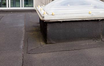 disadvantages of East Taphouse flat roofs