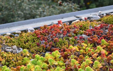 the cost of East Taphouse green roof installation