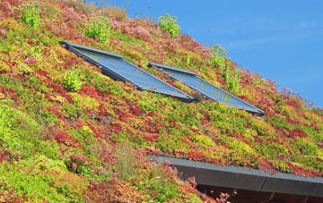 East Taphouse living roof systems