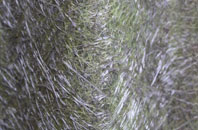 East Taphouse fibreglass roof work